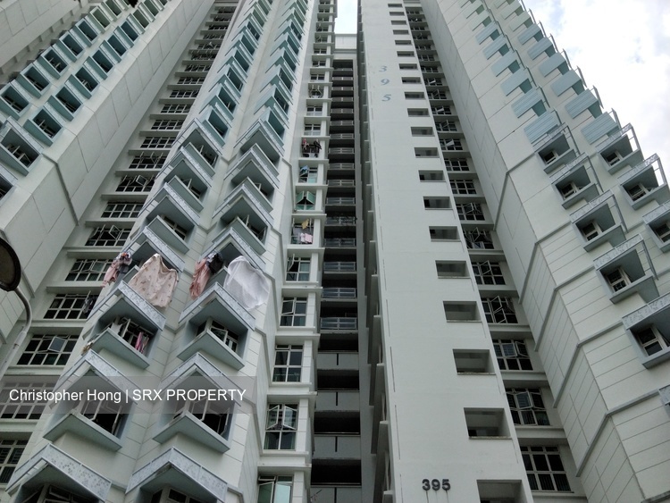 Blk 395 Bukit Batok West Avenue 5 (Bukit Batok), HDB 4 Rooms #171616622